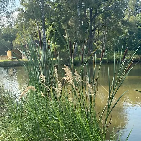 U Rybnika شقة Dráchov