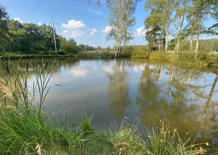 Apartament U Rybnika Dráchov